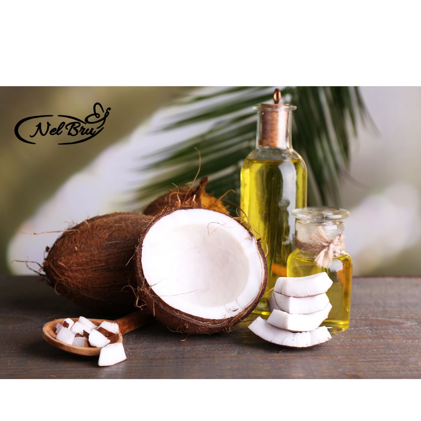 Lait de coco Nelbru